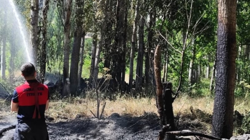 Çorum'da ağaçlık alanda yangın