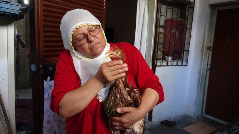 Mersin'de tavuğunu kesmeye kıyamadı