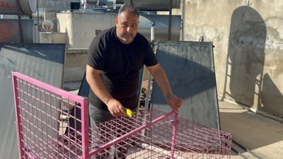 Mersin'de çatılara kurulan kafes de işe yaramadı: Firari maymun hala yakalanamadı