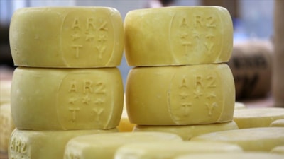 Bir yıl dinlenip 50 milyon TL’ye alıcı buluyor! Bu peynir servet kazandırıyor