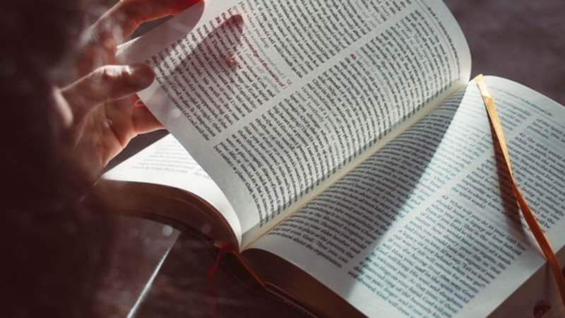 Hafta sonu için yeni kitaplardan oluşan beş okuma önerisi