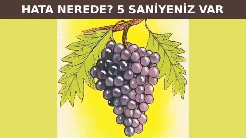 IQ testi: Resimdeki hatayı 5 saniyede bulun, içinizdeki dahiyi ortaya çıkarın