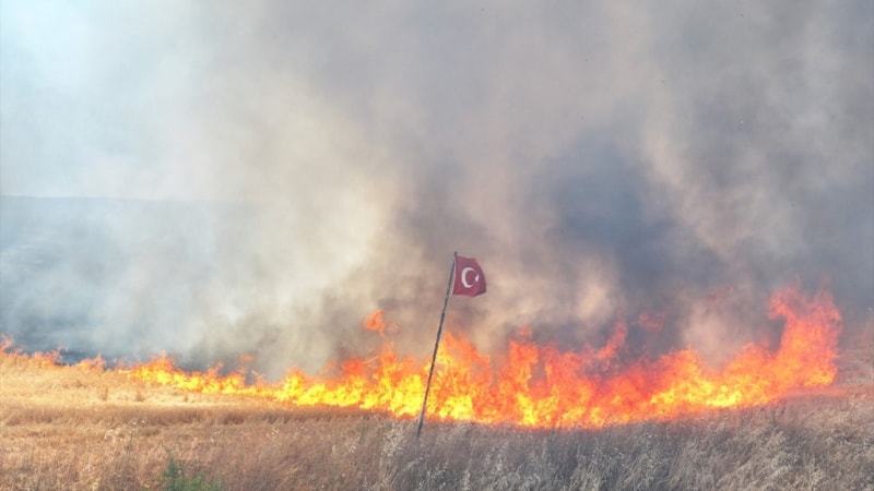 Edirne'de tarım arazilerine sıçrayan yangın kontrol altına alındı