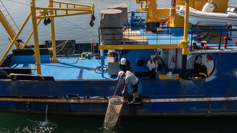Marmara'da müsilaj oluşumu azaldı