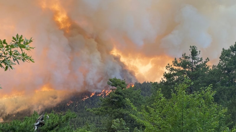 Sakarya’da başlayan yangın Bilecik’e sıçradı: 7 köy boşaltıldı