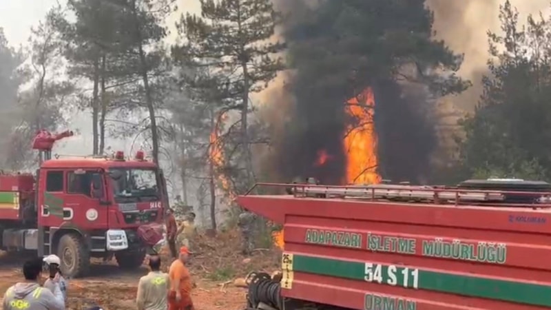 Sakarya’daki orman yangınında itfaiyeciler ölüm kalım savaşı verdi