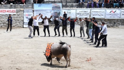 Rize'de Çamlıhemşin Ayder Kültür, Sanat ve Doğa Festivali