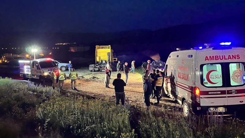 Ardahan'da trafik kazası: 2 ölü, 1 yaralı