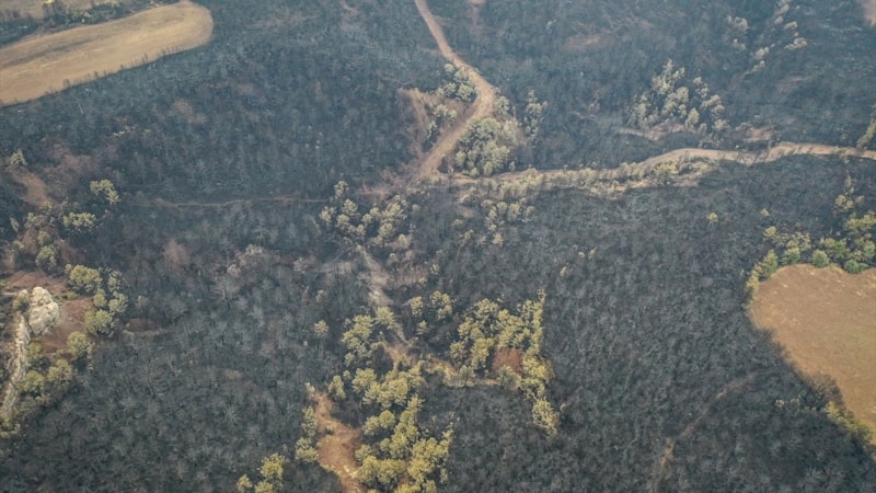 Bilecik'te ciğerlerimiz yandı