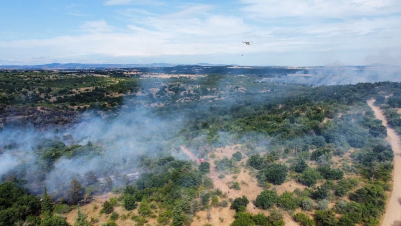 Edirne'deki orman yangını kontrol altında