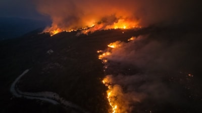 İzmir'de ormanlık alanlarda çıkan yangınlara müdahale ediliyor