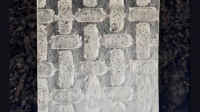 Bilim insanları pirinç yufkasından robot geliştirdi