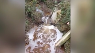 İstanbul Şile'de atık sular nedeniyle mahalleyi kötü kokular sardı