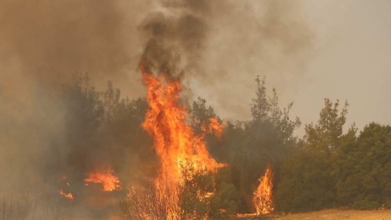 Manisa'da orman yangınına müdahale sürüyor