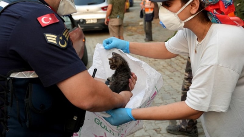 Seferihisar’daki yangında hayvanlar da unutulmadı: 35 can kurtarıldı