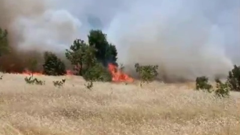 Adıyaman'da korkutan yangın