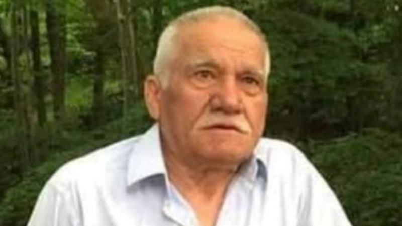 Giresun'da arı sokan çiftçi hayatını kaybetti