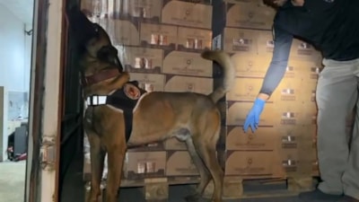 Kocaeli'de durdurulan kamyonette 9 kilogram kokain ele geçirildi