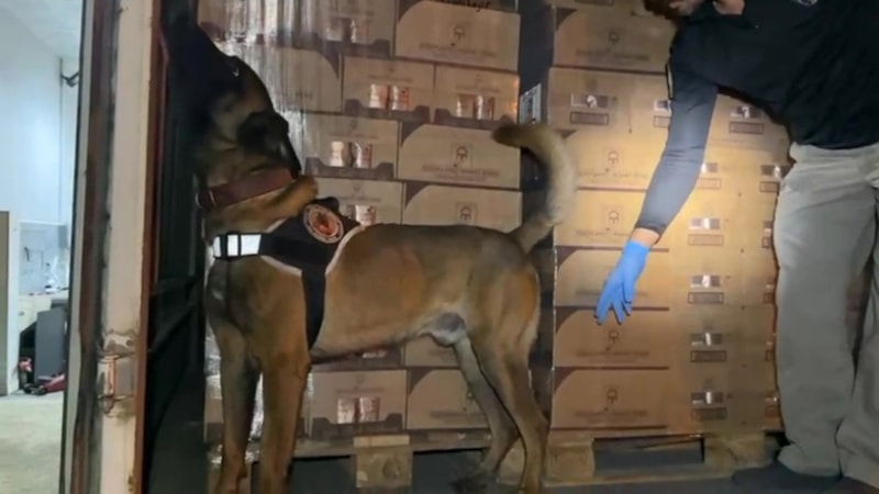 Kocaeli'de durdurulan kamyonette 9 kilogram kokain ele geçirildi