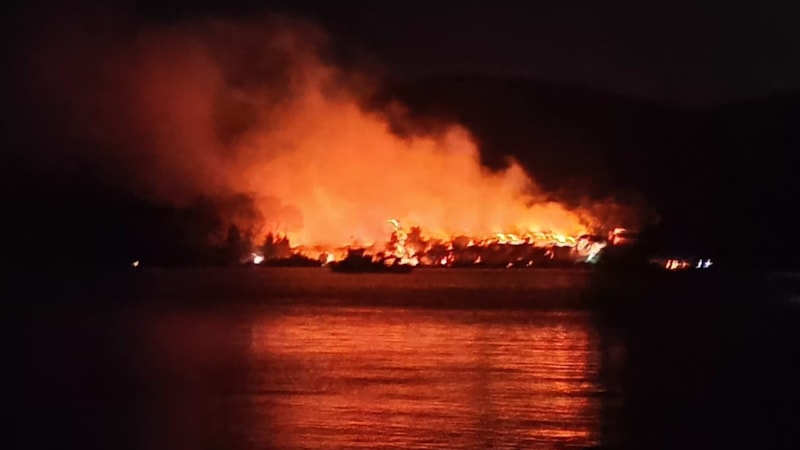 Muğla Milas'ta orman yangını