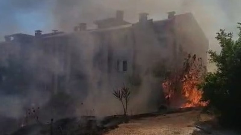 Adıyaman'da anız ateşi meyve ağaçlarını yaktı