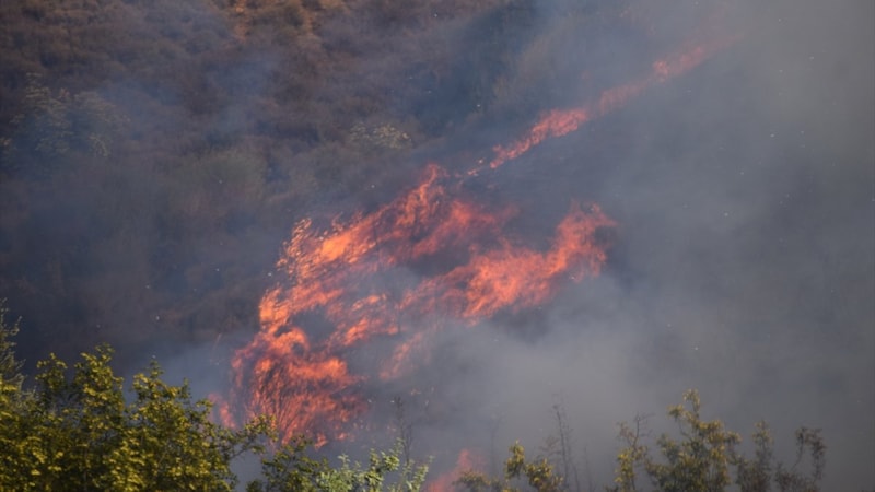 Orman yangınlarından etkilenen afetzedelere toplam 21,6 milyon TL yardım ödemesi yapıldı