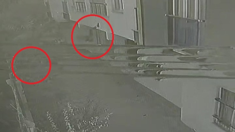 Siirt'te bisikletteki çocuklar savruldu