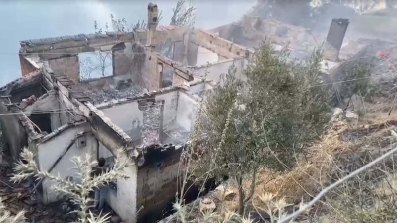 İzmir Ödemiş'teki orman yangınında can kaybı