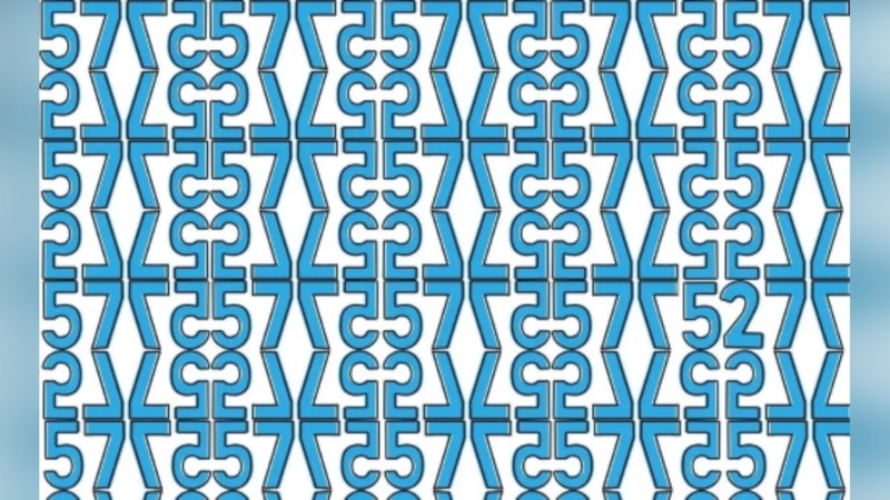 Görsel zeka testi: Kamufle edilmiş 52 sayısını sadece zekiler görebiliyor