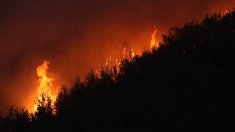 İzmir Ödemiş'te bir orman işçisi şehit oldu