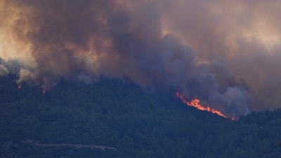İzmir'de 4 ilçede orman yangınlarıyla mücadele
