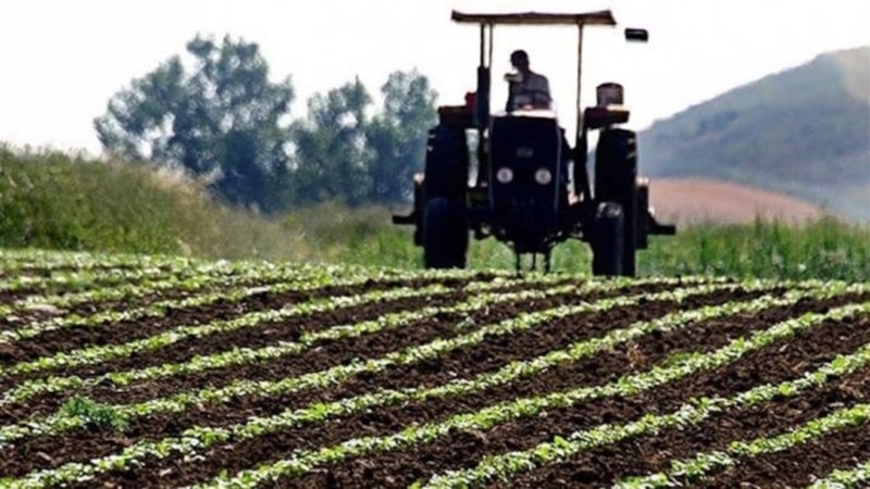 Çiftçilere 345 milyon lira tarımsal destekleme ödemesi