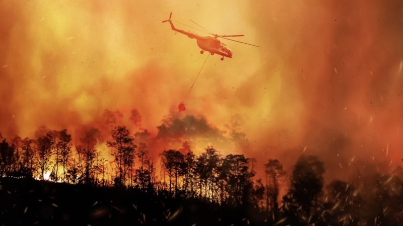 Türkiye'de ortaya çıkan yangınların yüzde 83'ü insan kaynaklı