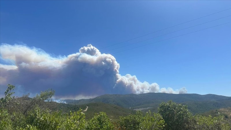 Türkiye'den görülüyor! Suriye'nin Lazkiye kentinde orman yangını