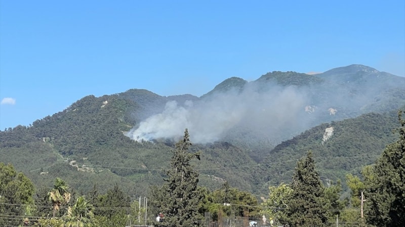 Hatay Dörtyol'da orman yangını çıktı! Müdahale sürüyor