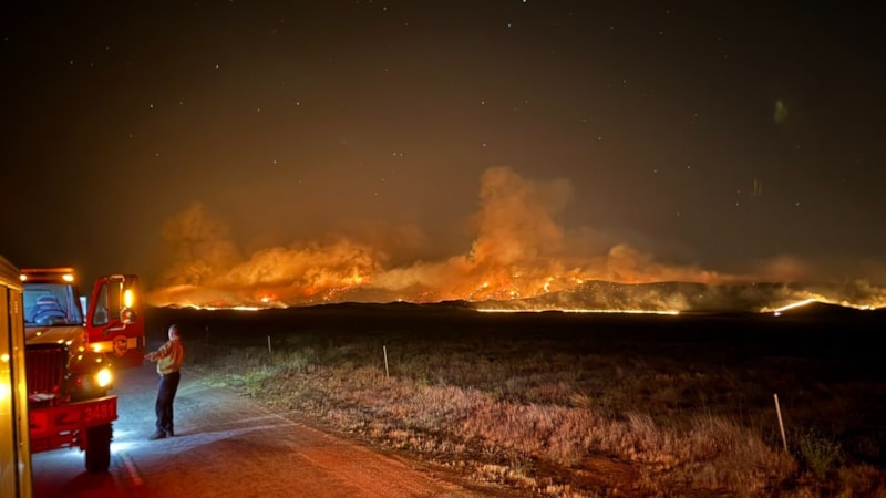 ABD'de orman yangını: 52 bin dönümden fazla alan kül oldu