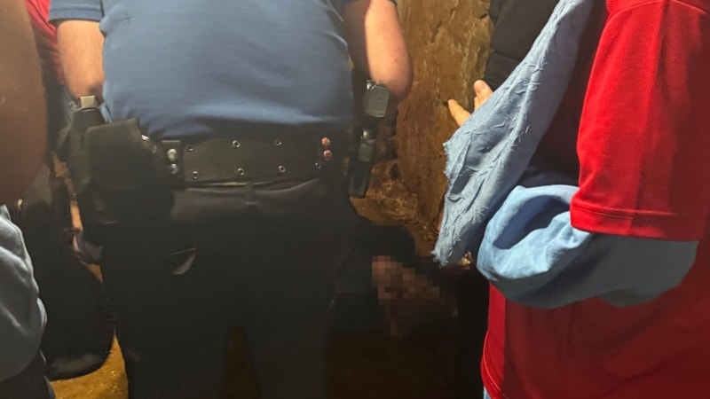 Siirt'te kayıp olduğu belirlenen şahıs, ahırda ölü bulundu