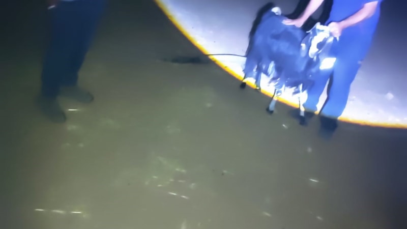 Mardin’de kuyuya düşen keçi kurtarıldı