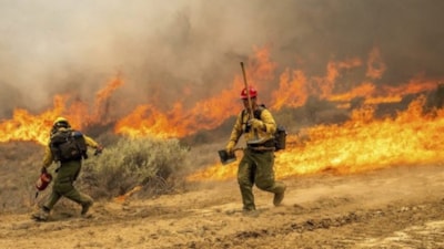 California'da orman yangınları: Binlerce hektar alan yandı