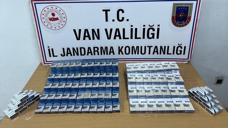 Van'da kaçakçılık operasyonları: 10 gözaltı