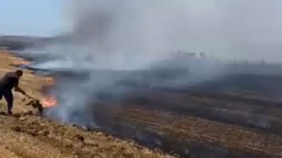 İstanbul'da çıkan anız yangınına vatandaşlar traktör ve çalılarla müdahale etti