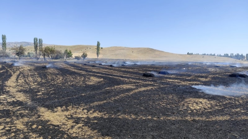 Çorum'da çıkan yangında saman balyaları küle döndü