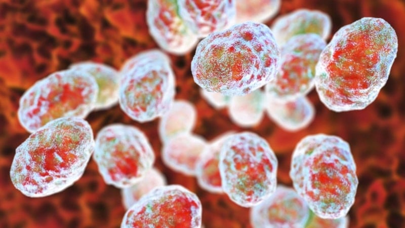 Vakalar patladı! Yeni salgın kapıda: Kenelerden bulaşıyor...