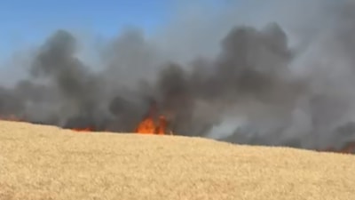 Ankara'da buğday tarlasında yangın