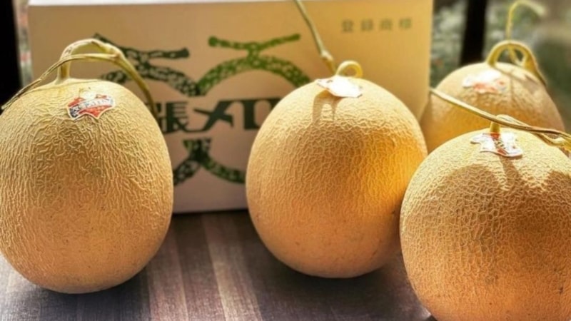 Tanesi 5 bin 200 liraya satılıyor! Dünyanın en pahalı kavunu kapış kapış gidiyor