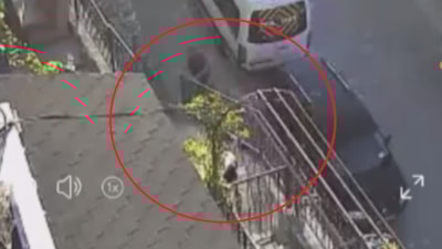 Amasya'da kendisine havlayan köpeği taş ve sopayla dövdü