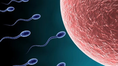 İnsan spermi ve yumurtası yakında laboratuvarlarda yetiştirilebilir