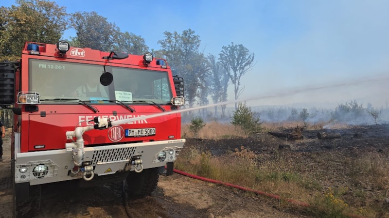 Almanya'nın üç eyaletinde orman yangını paniği