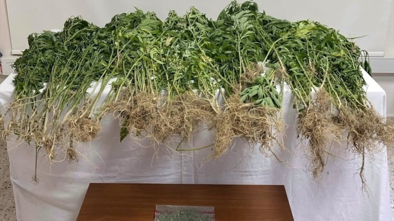 Denizli'de uyuşturucu operasyonu: 1 şüpheli tutuklandı