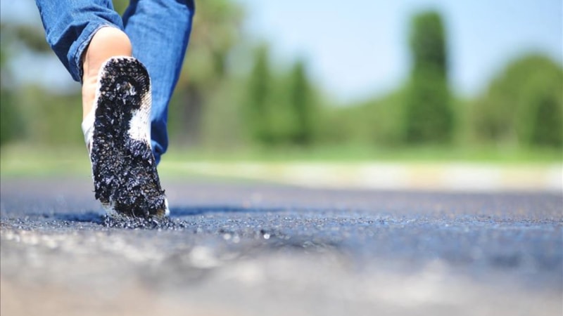 Köpek sahipleri dikkat: İstanbul'da asfalt alarmı! Sakın yürütmeyin...